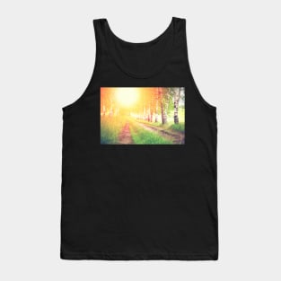 Alley of green birches against sunrise Tank Top